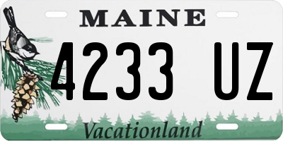 ME license plate 4233UZ