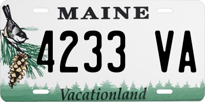 ME license plate 4233VA