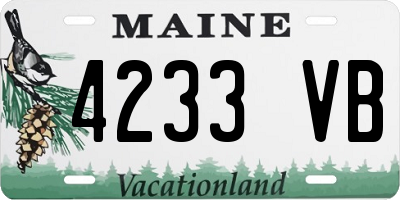 ME license plate 4233VB