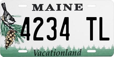 ME license plate 4234TL