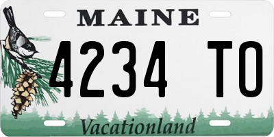 ME license plate 4234TO