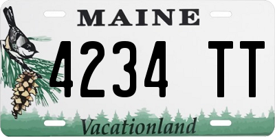 ME license plate 4234TT