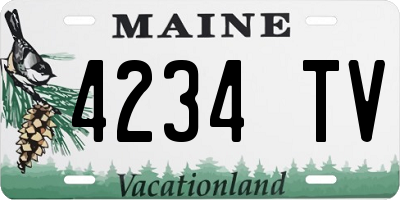 ME license plate 4234TV