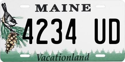 ME license plate 4234UD
