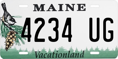 ME license plate 4234UG
