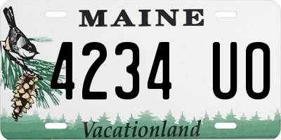 ME license plate 4234UO