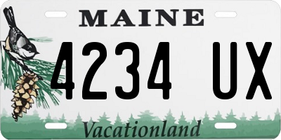 ME license plate 4234UX