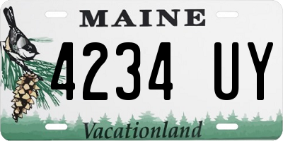 ME license plate 4234UY