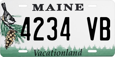 ME license plate 4234VB