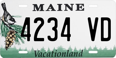 ME license plate 4234VD