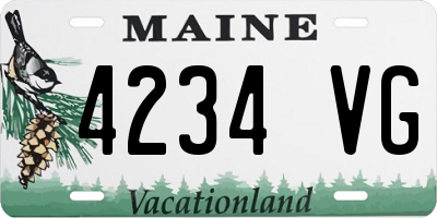 ME license plate 4234VG