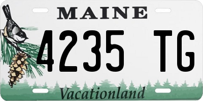 ME license plate 4235TG