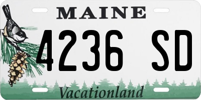 ME license plate 4236SD