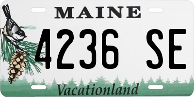 ME license plate 4236SE