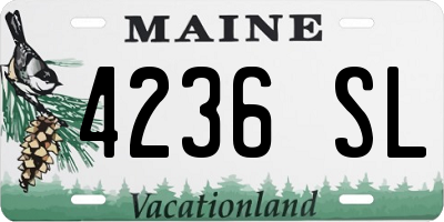 ME license plate 4236SL