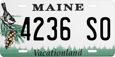 ME license plate 4236SO