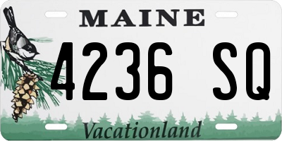 ME license plate 4236SQ