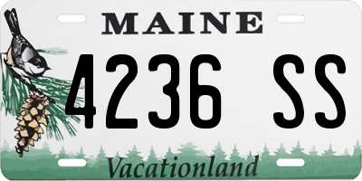 ME license plate 4236SS