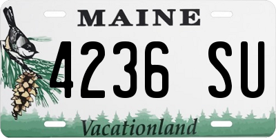 ME license plate 4236SU