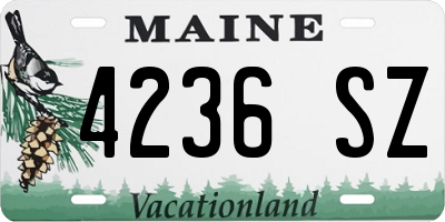 ME license plate 4236SZ