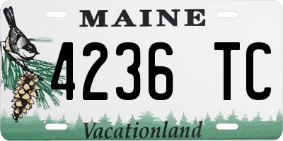 ME license plate 4236TC
