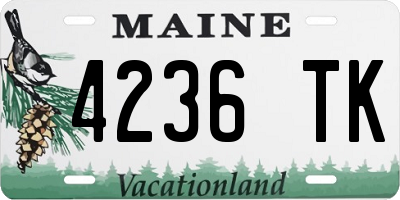 ME license plate 4236TK
