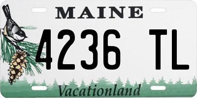 ME license plate 4236TL