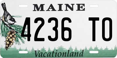 ME license plate 4236TO