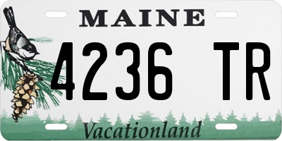 ME license plate 4236TR