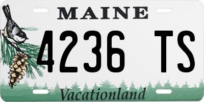 ME license plate 4236TS