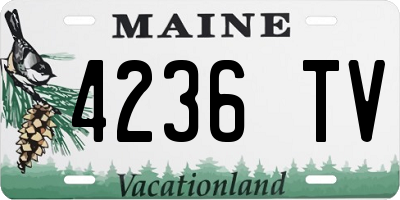 ME license plate 4236TV