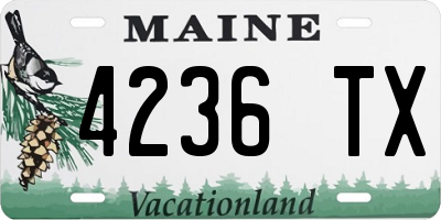 ME license plate 4236TX