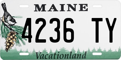 ME license plate 4236TY