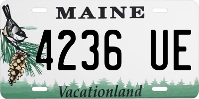 ME license plate 4236UE