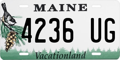 ME license plate 4236UG