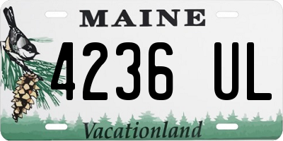 ME license plate 4236UL