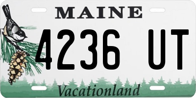 ME license plate 4236UT