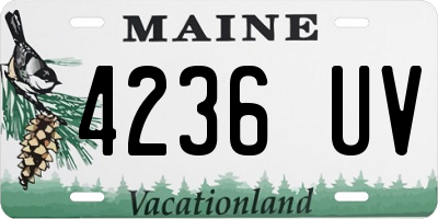 ME license plate 4236UV
