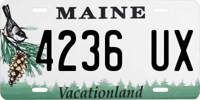 ME license plate 4236UX