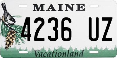 ME license plate 4236UZ