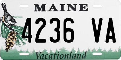 ME license plate 4236VA