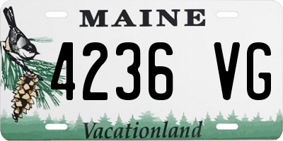 ME license plate 4236VG