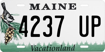 ME license plate 4237UP