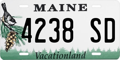 ME license plate 4238SD