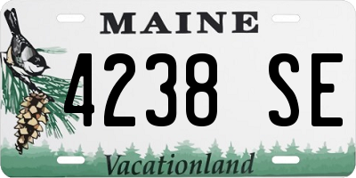 ME license plate 4238SE