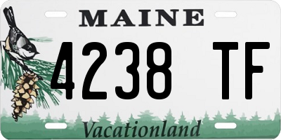 ME license plate 4238TF