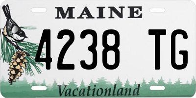 ME license plate 4238TG