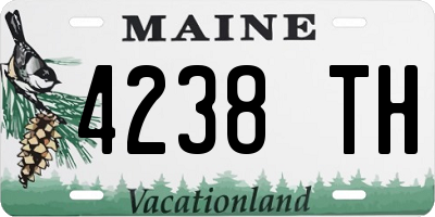 ME license plate 4238TH