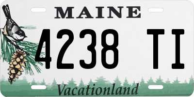 ME license plate 4238TI