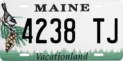 ME license plate 4238TJ